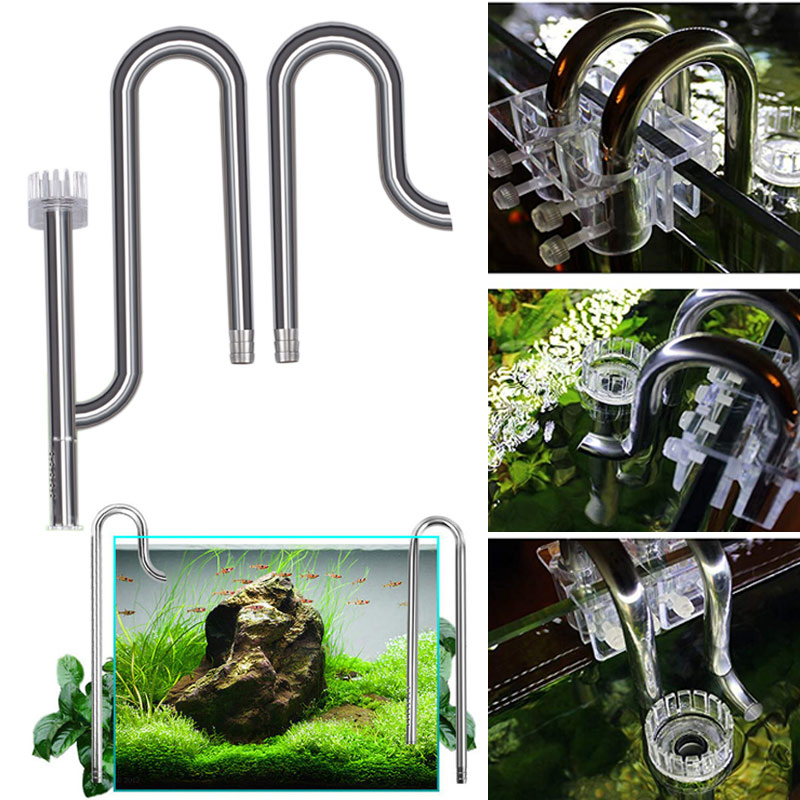 Planted Aquarium Best Fish - New Fish Tank Lily Pipe Stainless