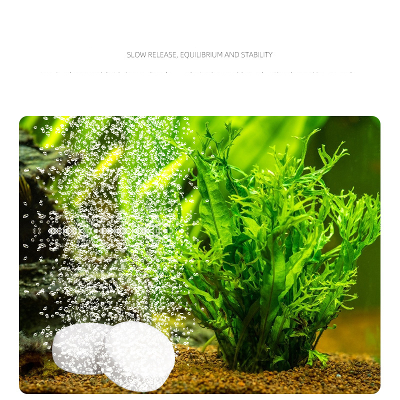 ISTA  Fish Tank Aquarium CO2 T - Planted Aquarium Without Fish review and price