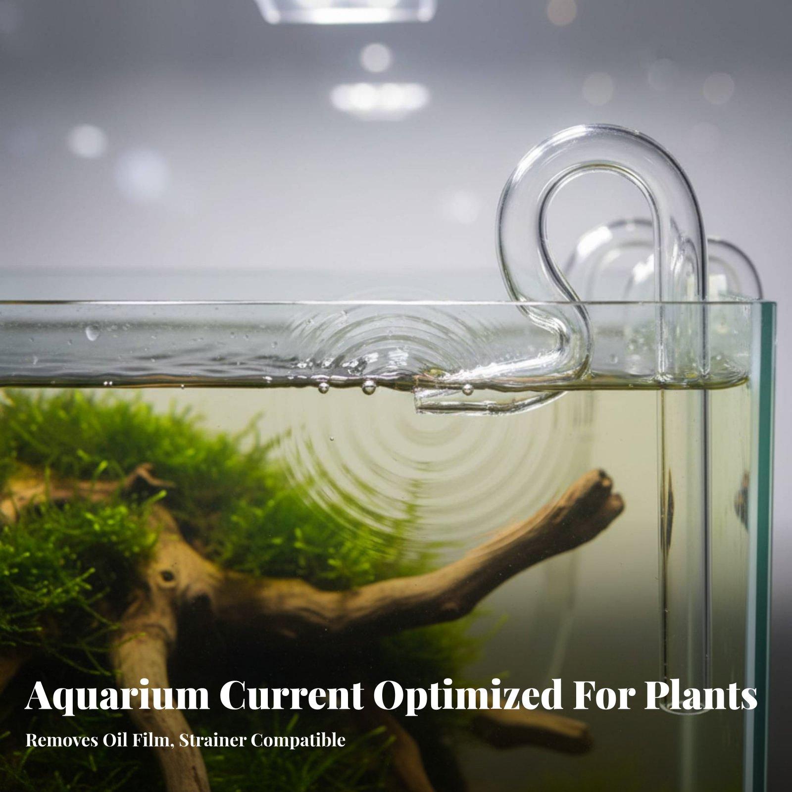 Glass Lily Pipe Aquarium Surfa - Aquarium Planted Tank Filter review and price