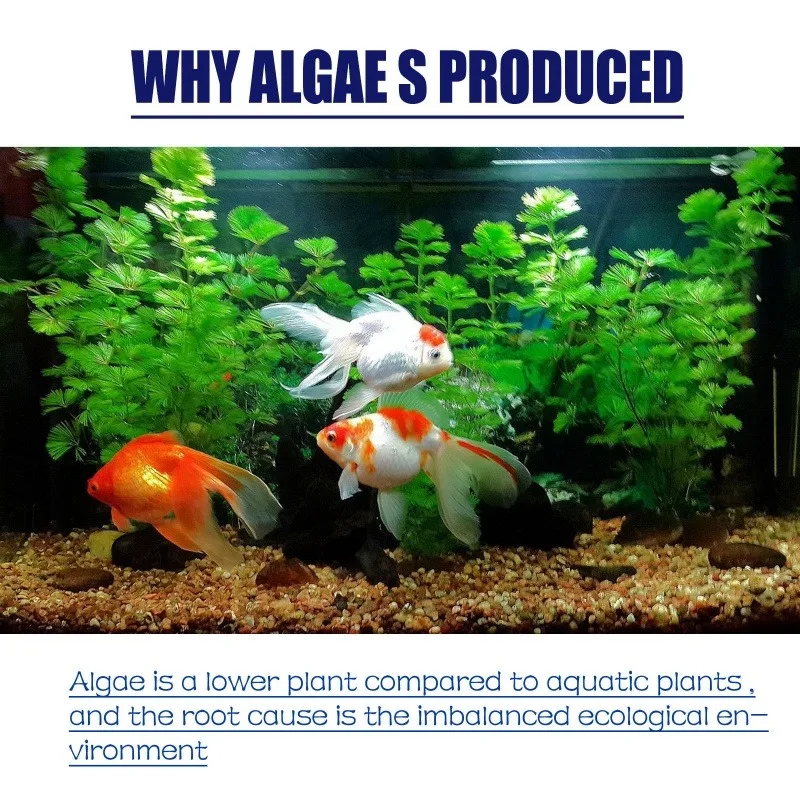 50g High Efficiency Algaecide  - Planted Aquarium Equipment review and price