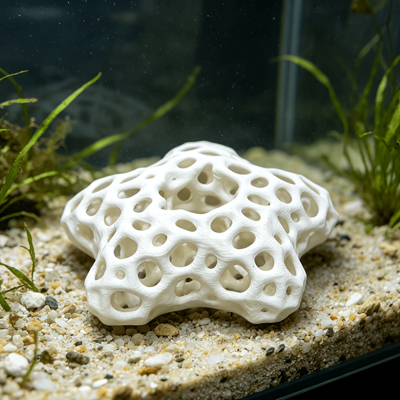 Hollowed-out Five-Pointed Star - Planted Aquarium Without Fish review and price
