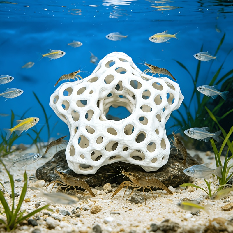 Hollowed-out Five-Pointed Star - Planted Aquarium Without Fish review and price