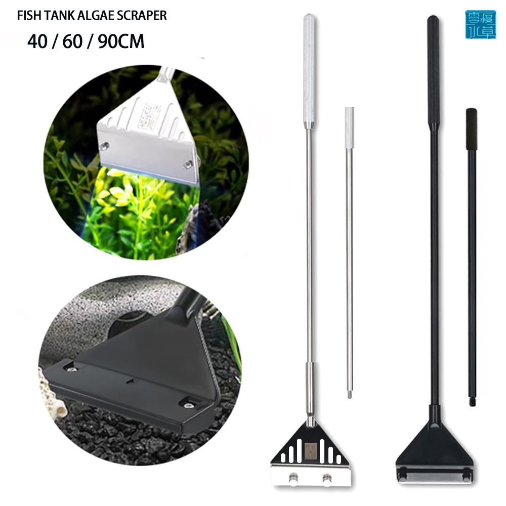 Aquarium Stainless Steel Fish  - Planted Aquarium Algae review and price