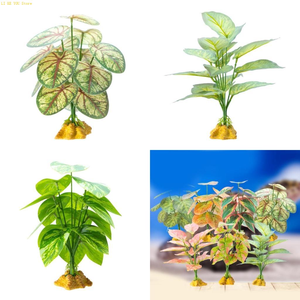 W3JE Terrarium Decorative Plan - Planted Aquarium Jungle review and price