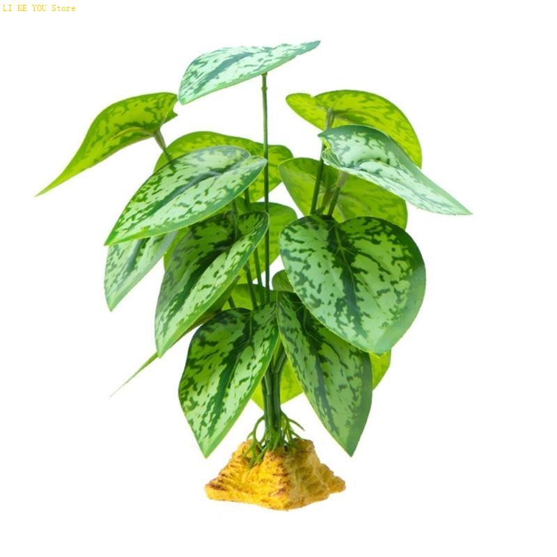W3JE Terrarium Decorative Plan - Planted Aquarium Jungle review and price