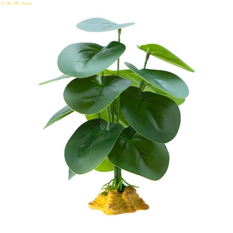 W3JE Terrarium Decorative Plan - Planted Aquarium Jungle review and price