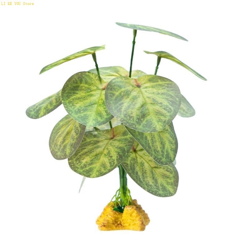 W3JE Terrarium Decorative Plan - Planted Aquarium Jungle review and price