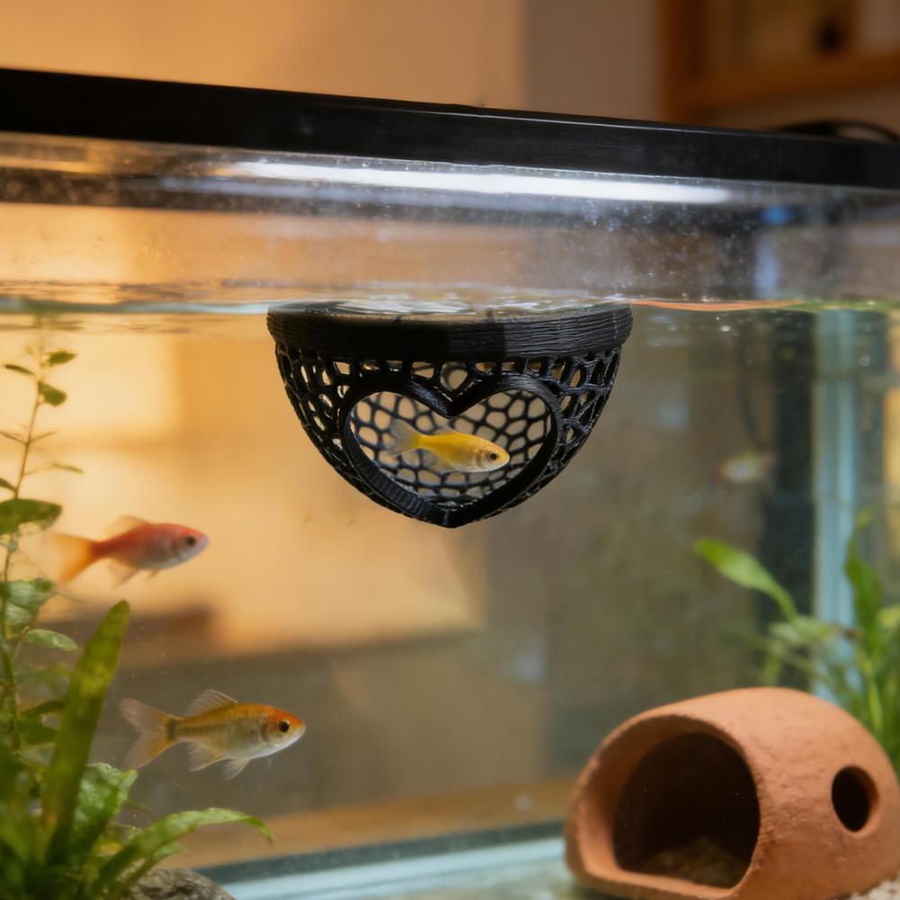 Heart-Shaped Aquarium Hideaway - Planted Aquarium Without Fish review and price