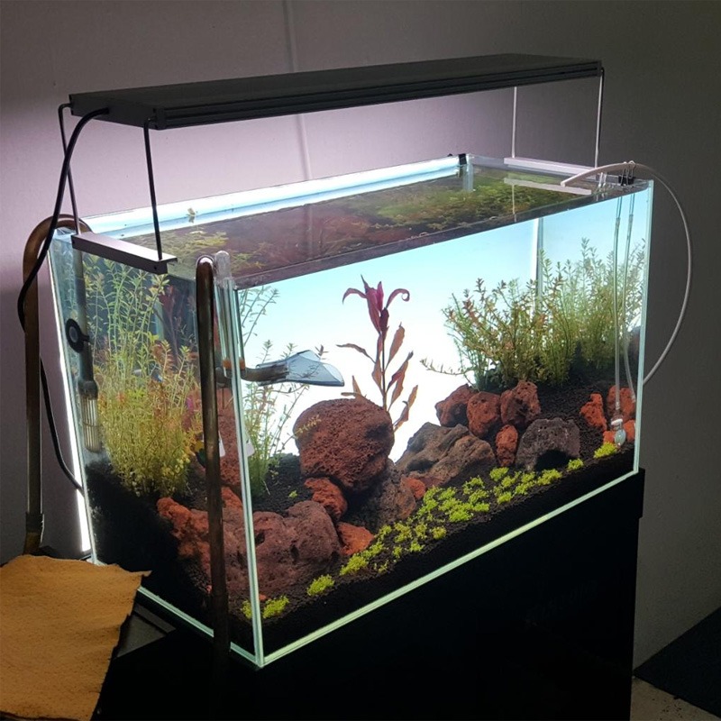 Best-Selling LED Aquarium Lamp - Planted Aquarium Best Fish review and price