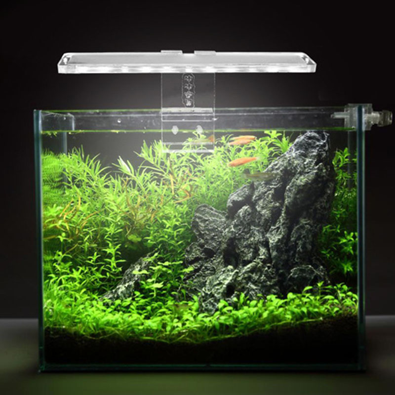 LED Aquarium Lamp Plant Light  - Planted Aquarium Best Fish review and price