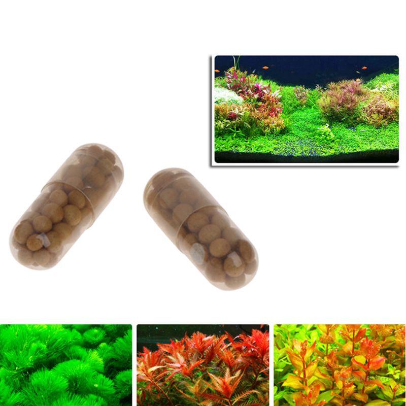 QX2E Aquarium Live Plant Ferti - Planted Aquarium Best Fish review and price