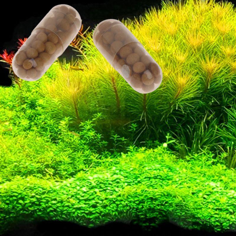 QX2E Aquarium Live Plant Ferti - Planted Aquarium Best Fish review and price